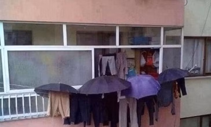 Ảnh: BrightSide Ảnh: BrightSide