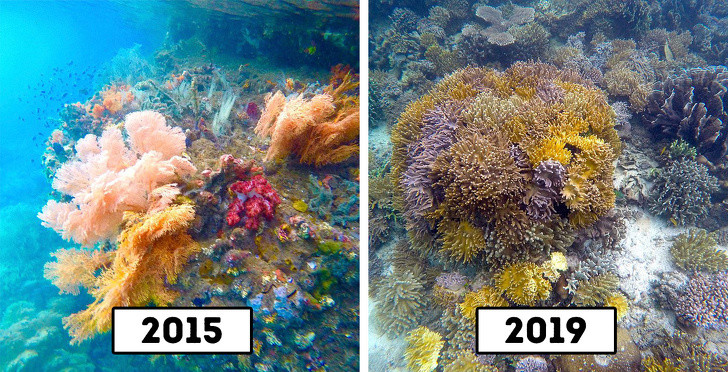 Ảnh: BrightSide Ảnh: BrightSide