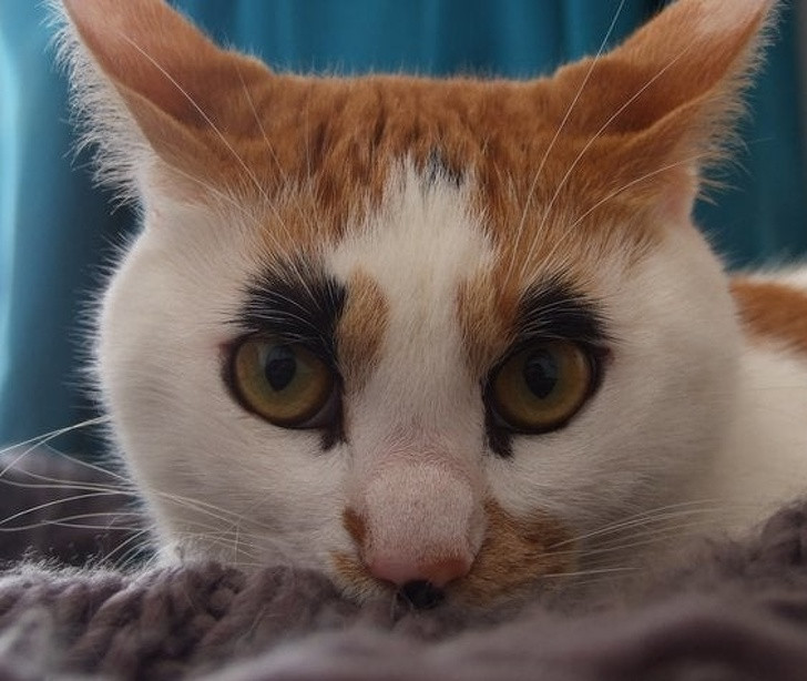 Ảnh: BrightSide Ảnh: BrightSide