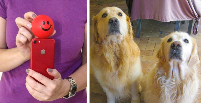 Ảnh: BrightSide Ảnh: BrightSide