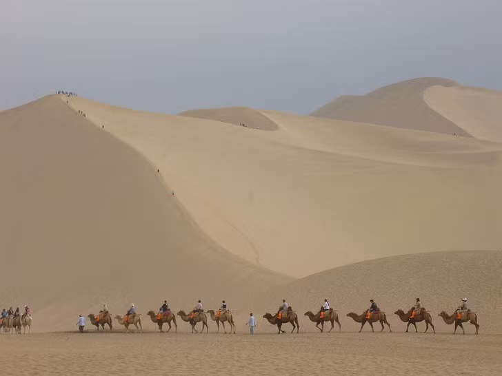 Ảnh: BrightSide Ảnh: BrightSide