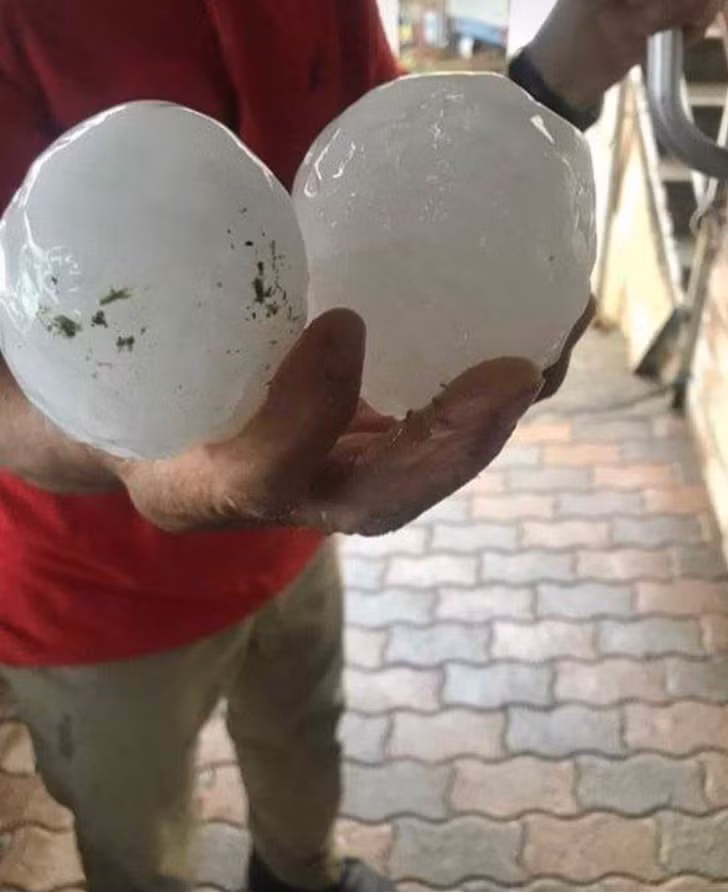 Ảnh: BrightSide Ảnh: BrightSide