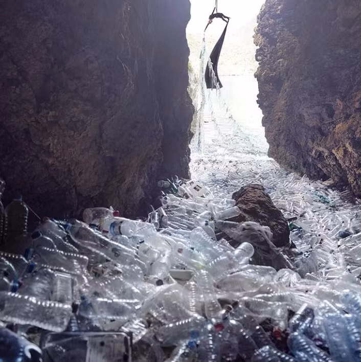 Ảnh: BrightSide Ảnh: BrightSide