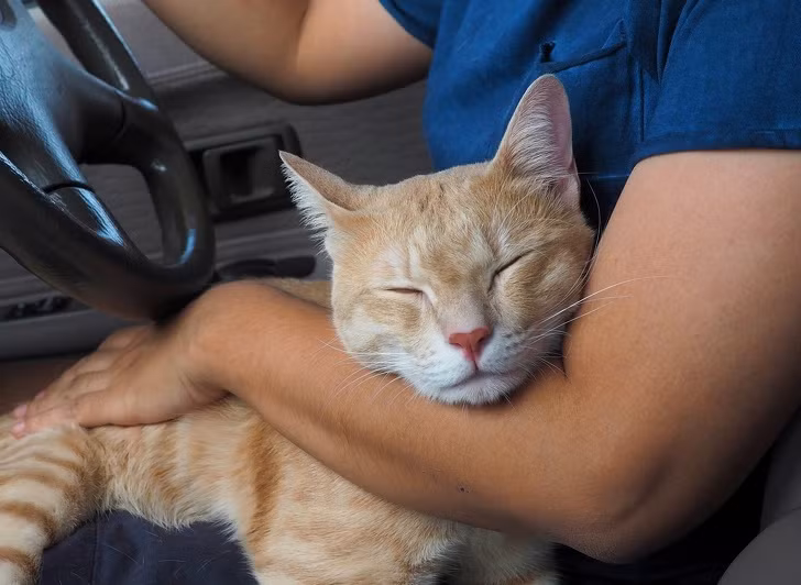 Ảnh: BrightSide Ảnh: BrightSide