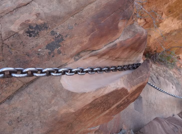 Ảnh: BrightSide Ảnh: BrightSide