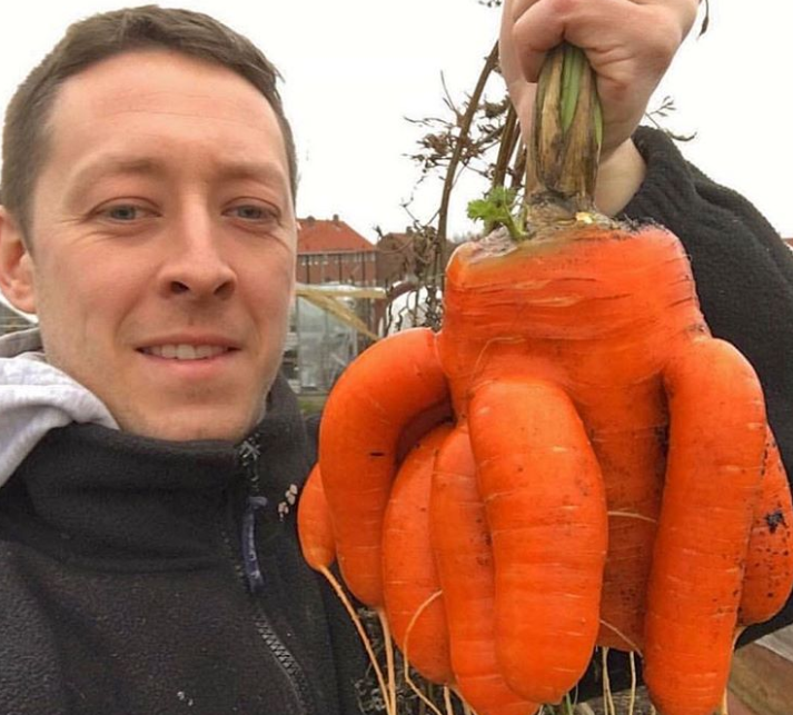 Ảnh: BrightSide Ảnh: BrightSide