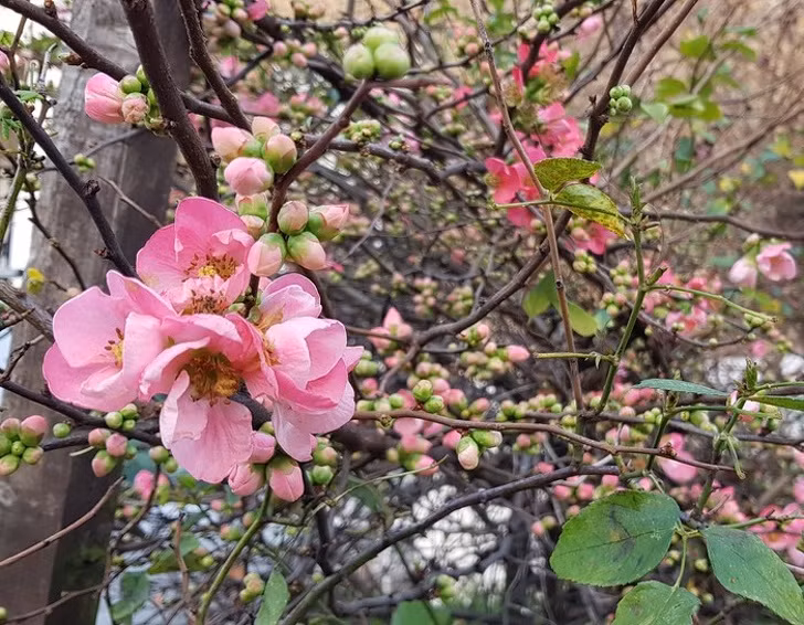 Ảnh: BrightSide Ảnh: BrightSide