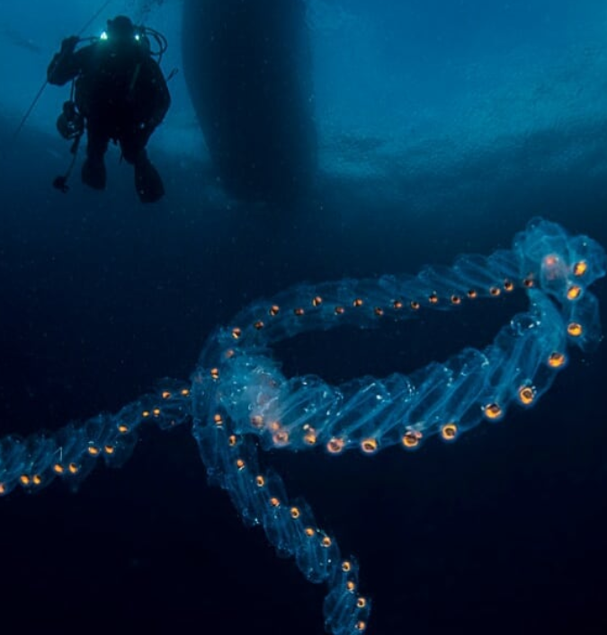 Ảnh: BrightSide Ảnh: BrightSide