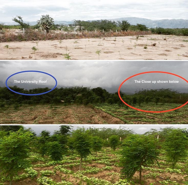 Ảnh: BrightSide Ảnh: BrightSide