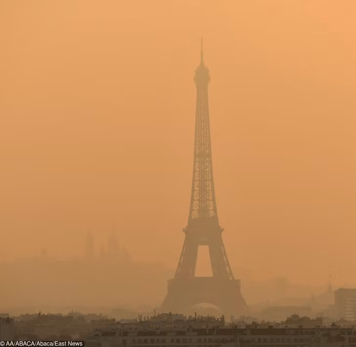 Ảnh: BrightSide Ảnh: BrightSide