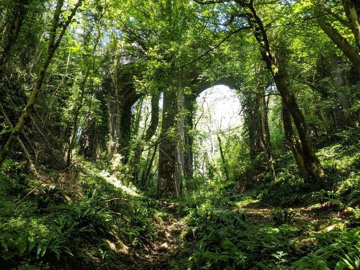 Ảnh: BrightSide Ảnh: BrightSide