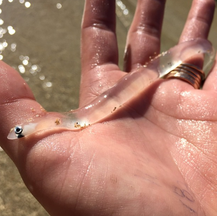 Ảnh: BrightSide Ảnh: BrightSide