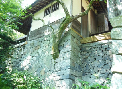 Ảnh: BrightSide Ảnh: BrightSide