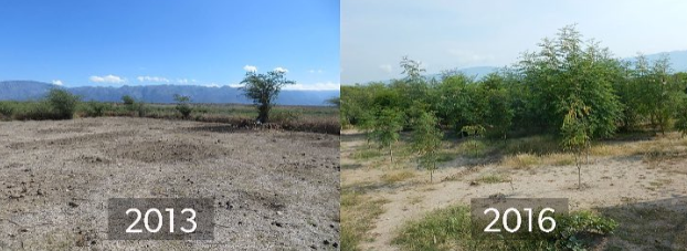 Ảnh: BrightSide Ảnh: BrightSide