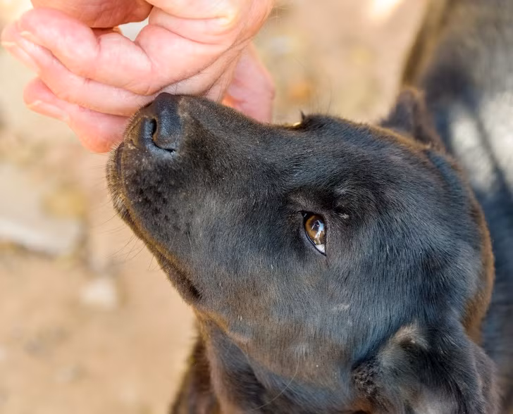 Ảnh: BrightSide Ảnh: BrightSide