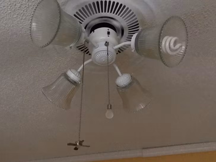 Ảnh: BrightSide Ảnh: BrightSide