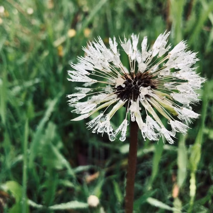 Ảnh: BrightSide Ảnh: BrightSide