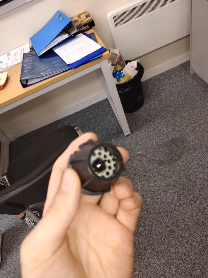 Ảnh: BrightSide Ảnh: BrightSide