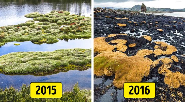 Ảnh: BrightSide Ảnh: BrightSide