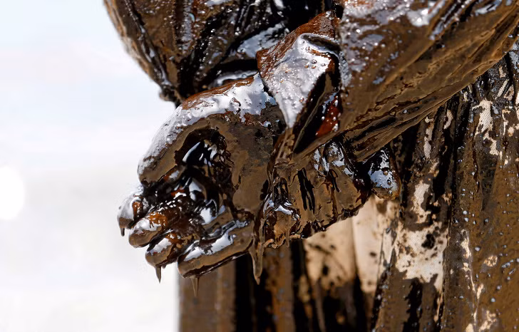 Ảnh: BrightSide Ảnh: BrightSide