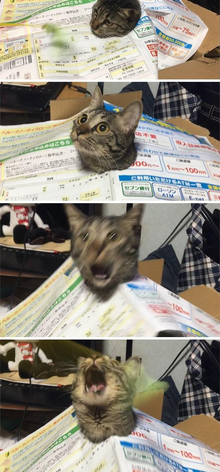 Ảnh: BrightSide Ảnh: BrightSide