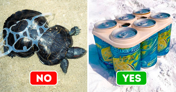 Ảnh: BrightSide Ảnh: BrightSide