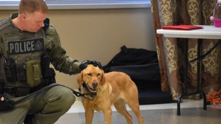 Ảnh: BrightSide Ảnh: BrightSide