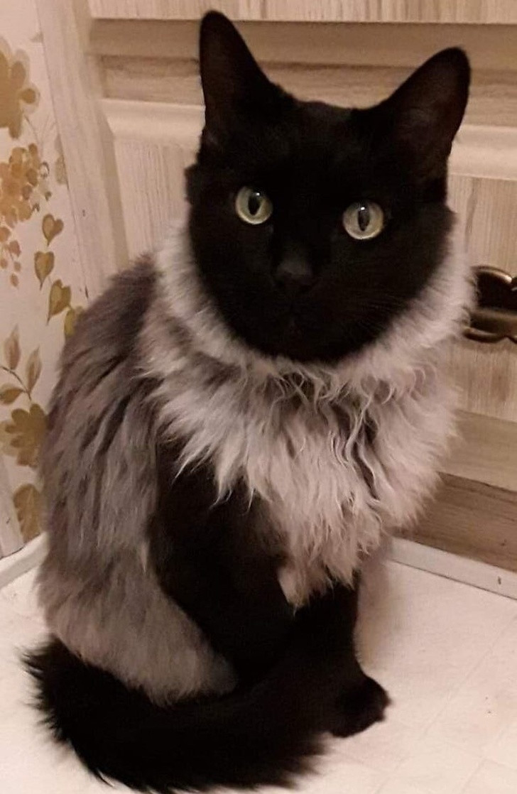 Ảnh: BrightSide Ảnh: BrightSide