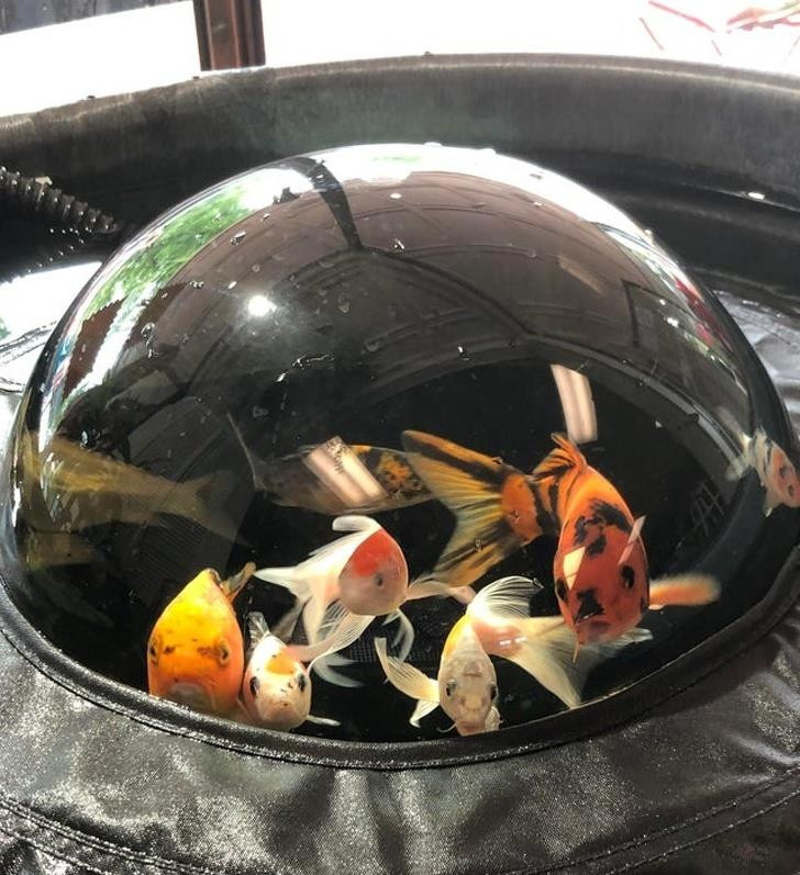 Ảnh: BrightSide Ảnh: BrightSide