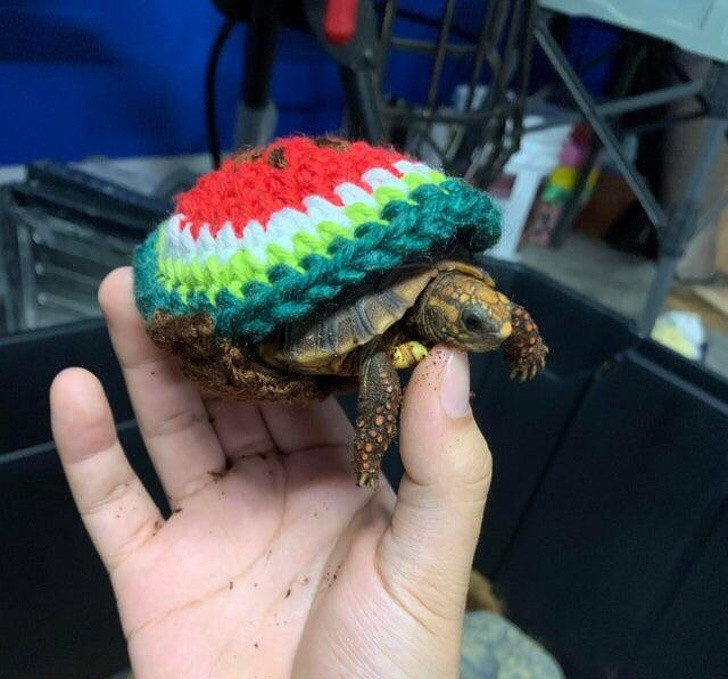 Ảnh: BrightSide Ảnh: BrightSide