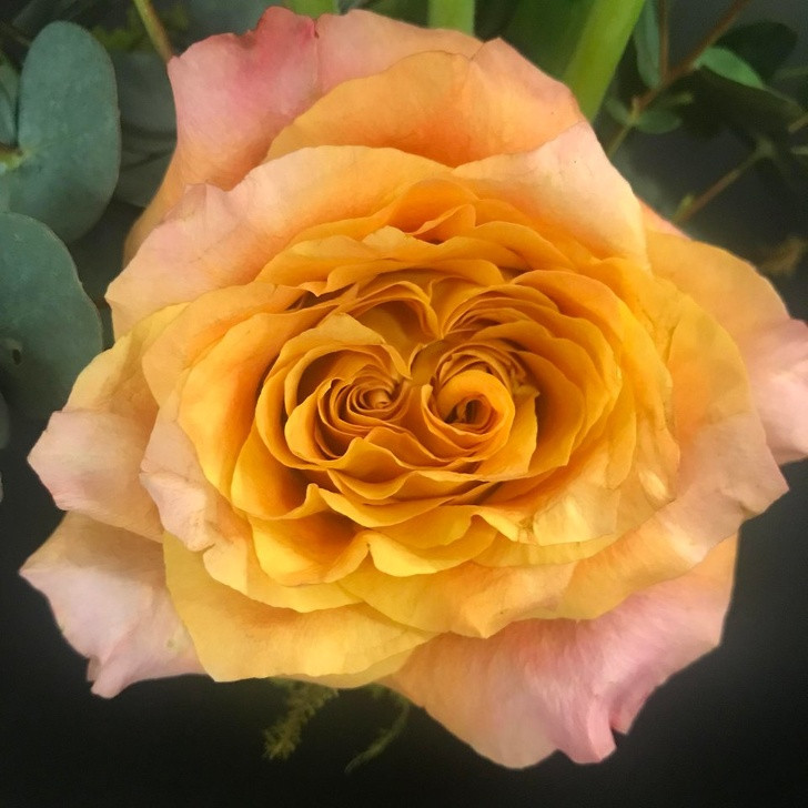 Ảnh: BrightSide Ảnh: BrightSide