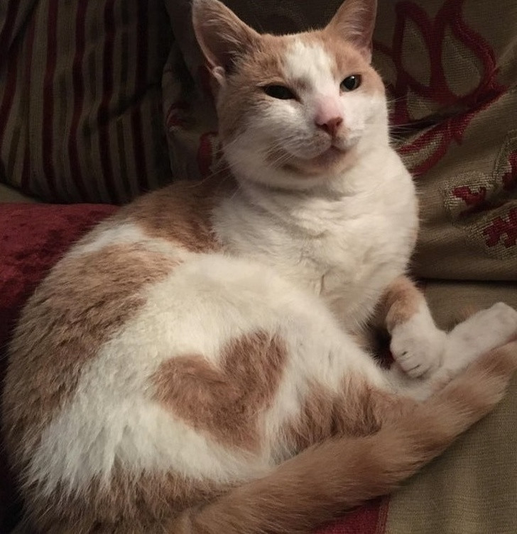 Ảnh: BrightSide Ảnh: BrightSide