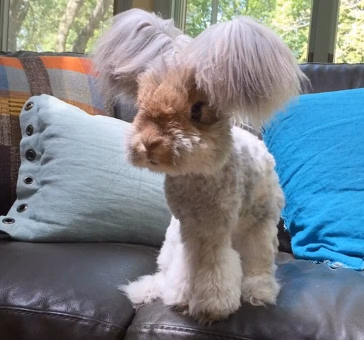 Ảnh: BrightSide Ảnh :BrightSide