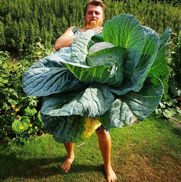 Ảnh: BrightSide Ảnh: BrightSide