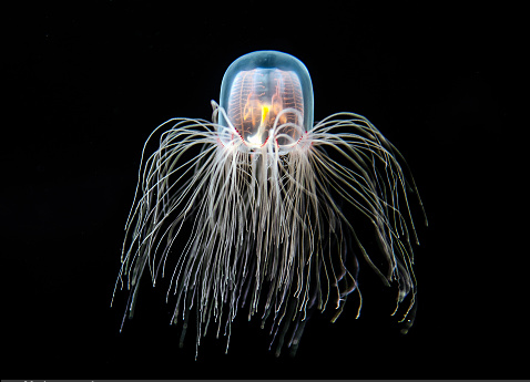 Ảnh: BrightSide Ảnh: BrightSide