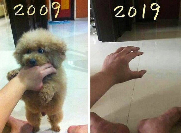 Ảnh: BrightSide Ảnh: BrightSide