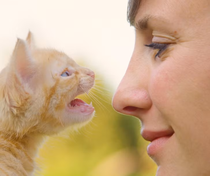 Ảnh: BrightSide Ảnh: BrightSide