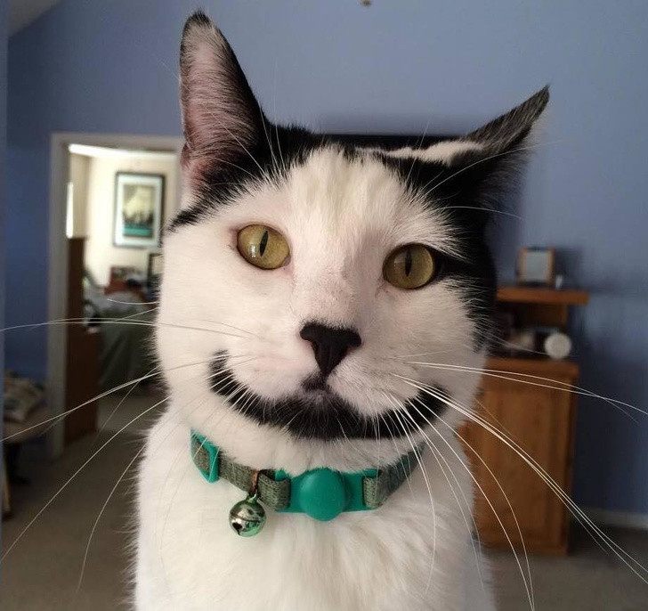 Ảnh: BrightSide Ảnh: BrightSide