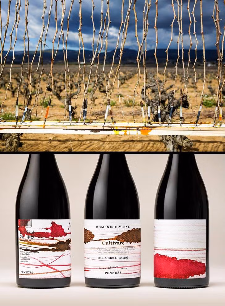 Ảnh: BrightSide Ảnh: BrightSide