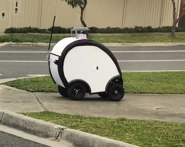 Ảnh: BrightSide Ảnh: BrightSide