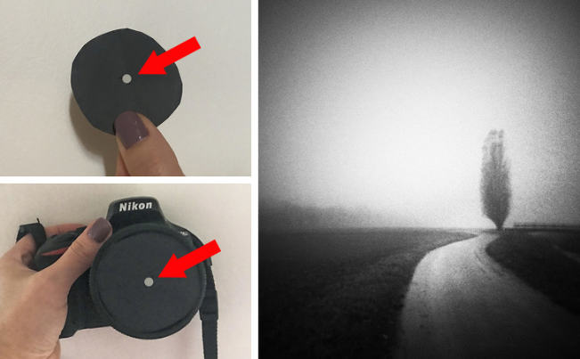 Ảnh: BrightSide Ảnh: BrightSide