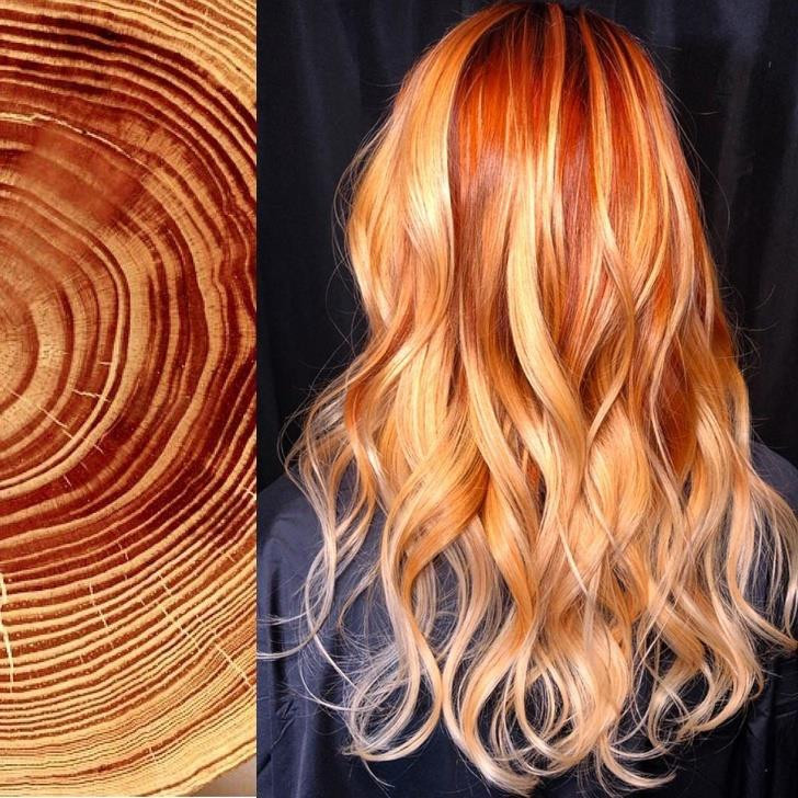 Ảnh: BrightSide Ảnh: BrightSide