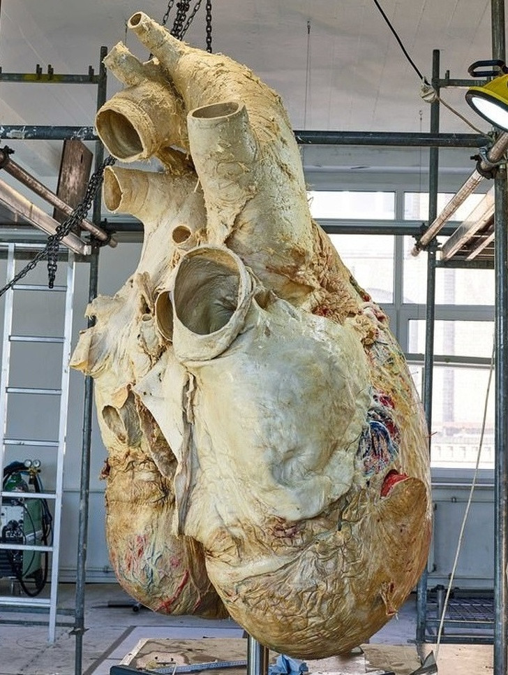 Ảnh: BrightSide Ảnh: BrightSide