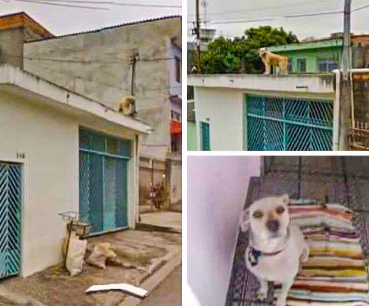 Ảnh: BrightSide Ảnh: BrightSide