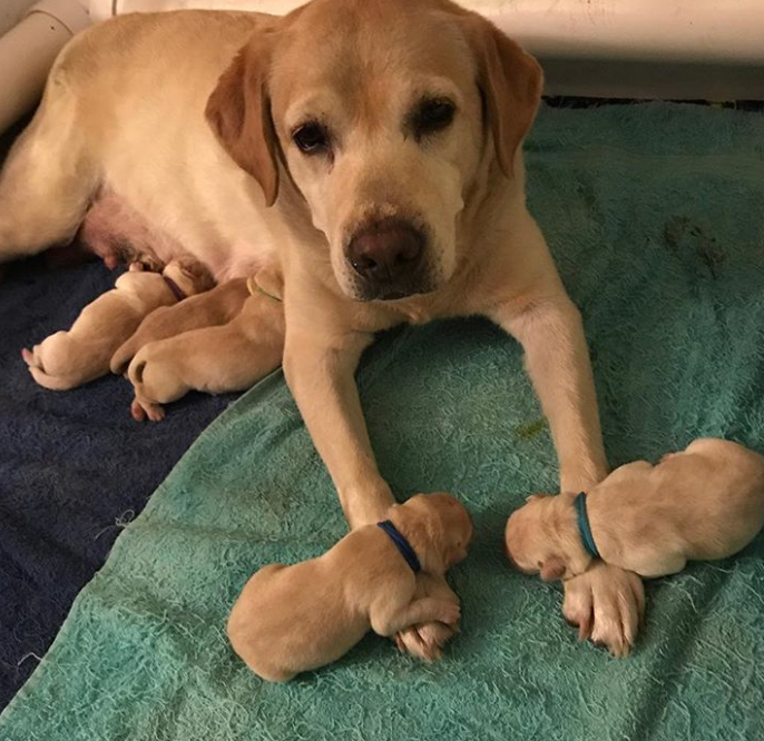 Ảnh: BrightSide Ảnh: BrightSide