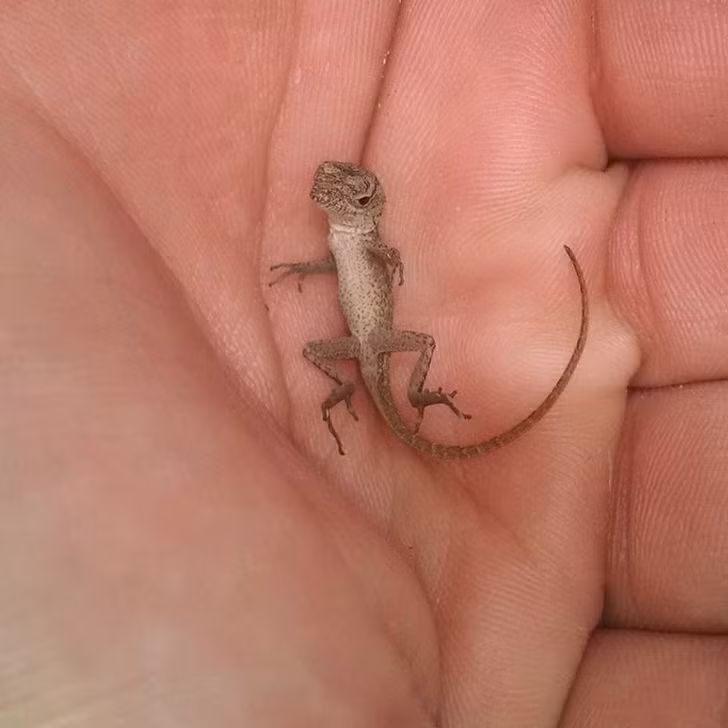 Ảnh: BrightSide Ảnh: BrightSide