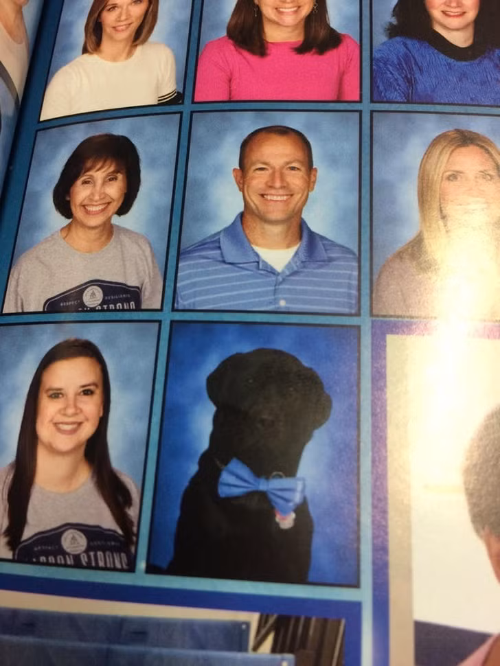 Ảnh: BrightSide Ảnh: BrightSide