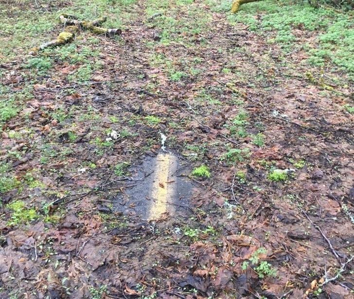 Ảnh: BrightSide Ảnh: BrightSide