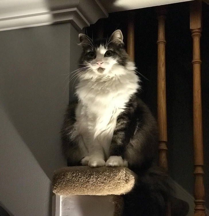 Ảnh: BrightSide Ảnh: BrightSide