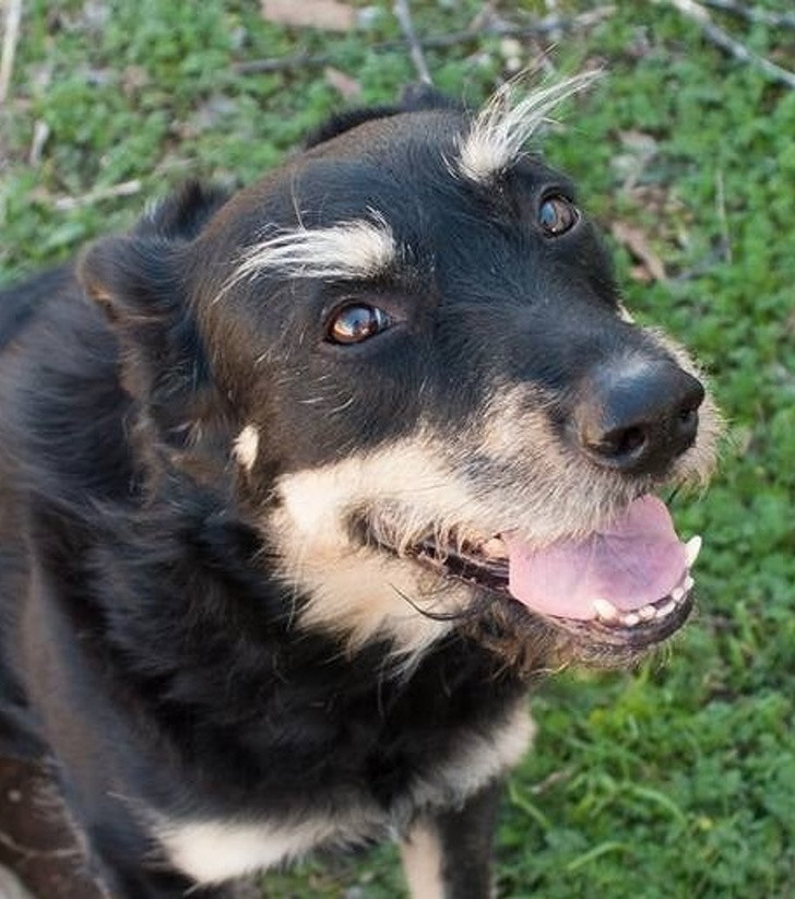 Ảnh: BrightSide Ảnh: BrightSide